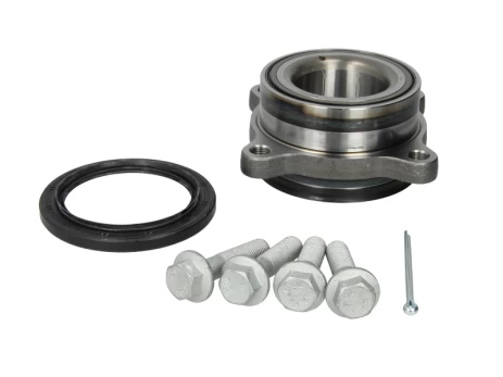 FAG 713 6198 50 Wheel bearing kit