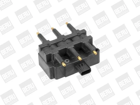 Ritė, uždegimas BorgWarner (BERU) ZS455