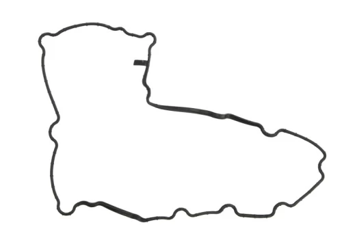 REINZ 71-10771-00 Sump gasket
