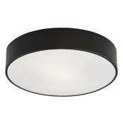 Šviestuvas lubų Argon Darling 3569, LED, 3000 °K kaina