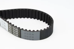 CONTI CT 1184 Timing belt kaina