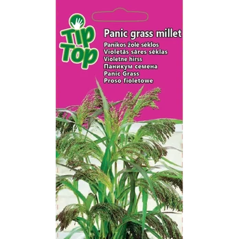 TIP TOP Panikos žolė Panic grass millet 0.1g