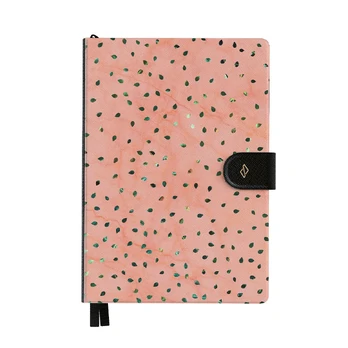 Watermelon Shake - Infinity Planner