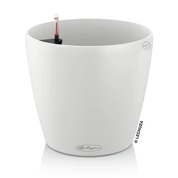 Lechuza CLASSICO Color 18 Balta