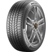 Continental WinterContact TS870 P 255/50 R19 kaina