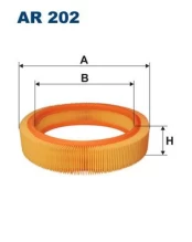 Oro filtras FILTRON AR 202 kaina