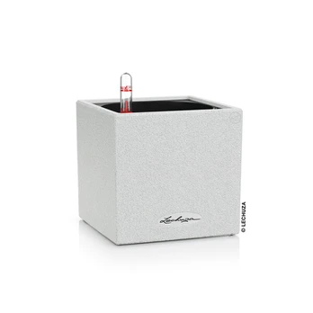 Lechuza Canto Stone 14 Balta