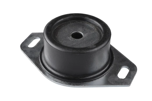Variklio montavimas TEDGUM 00214223