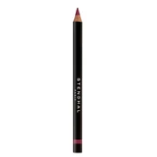 Stendhal Precision Lip Liner 303 Rose Sultane 1,14g kaina