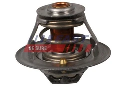 Termostatas, aušinimo skystis FAST FT58032 kaina