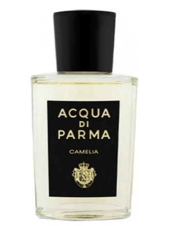 Acqua Di Parma Camelia EDP 20ml