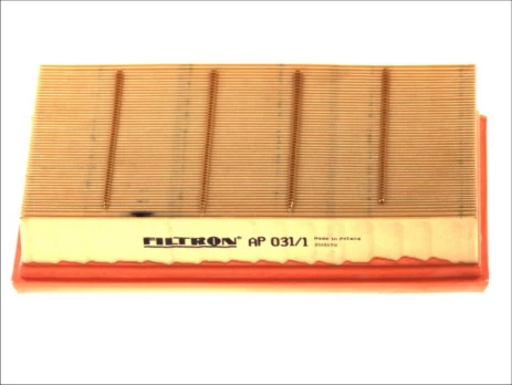Oro filtras FILTRON AP 031/1