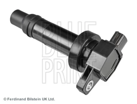 Ritė, uždegimas BLUE PRINT ADG01445