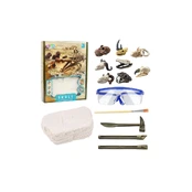 Lean Toys Archaeology Excavation Set Skulls Bones Tools Accessories kaina