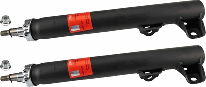 Amortizatorius TRW JGM434T kaina