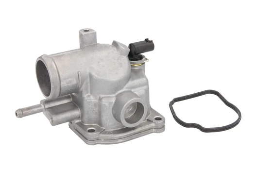 termostatas, aušinimo skystis THERMOTEC D2M002TT