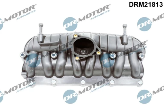 Įsiurbimo kolektoriaus modulis Dr.Motor Automotive DRM21813