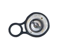 Termostatas, aušinimo skystis NRF 725094 kaina