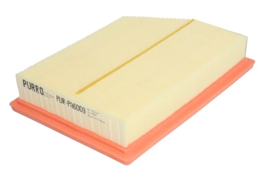 Oro filtras PUR-PA6009