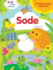 Sode: lavinamosios užduotys 3–4 metų vaikams kaina