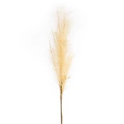 Eurofirany KW/FLORE/708/BEIGE BEIGE kaina