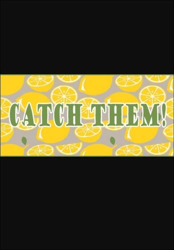 Catch Them! PC