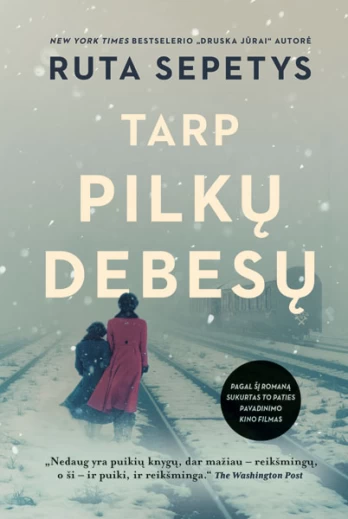 KNYGA Tarp pilkų debesų