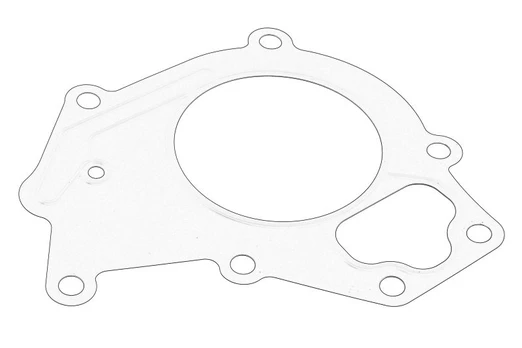 Termostato tarpinė OE IVECO 5801489564