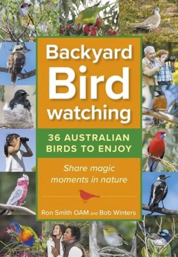 Backyard Birdwatching