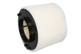 Oro filtras FILTRON AK376/2 kaina