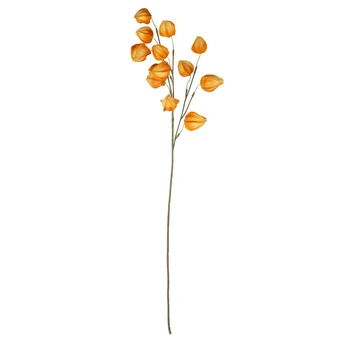 Dirbtinė gėlė ELEMENTS SENSE PHYSALIS, 2 rūšių, 80 cm