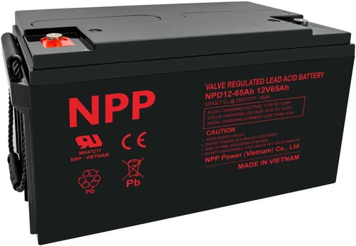 Npp Power Akumuliatorius NPD 12V 65Ah T14 NPP serija DEEP makaronai