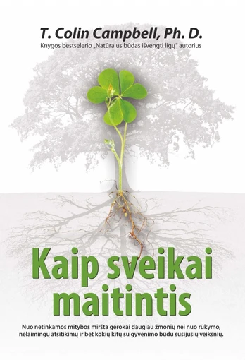 Kaip sveikai maitintis