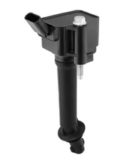 Ritė, uždegimas BorgWarner (BERU) ZSE293