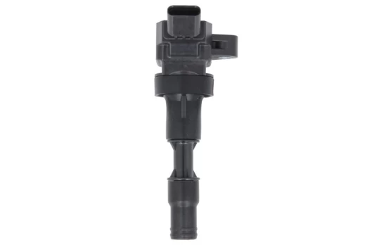 DELPHI GN11002-12B1 Ignition coil