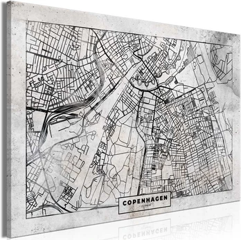 Artgeist Paveikslas - Copenhagen Plan (1 Part) Wide