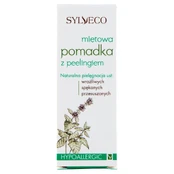Lūpų dažai-pilingas SYLVECO Mint, 4.6 g kaina