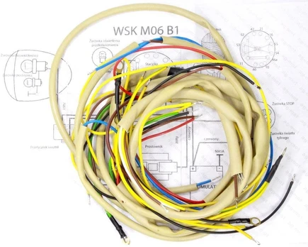 Other ELEKTROS ĮRENGIMAS WSK 125 M06-B1 AG