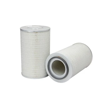 Oro filtro elementas AF25065
