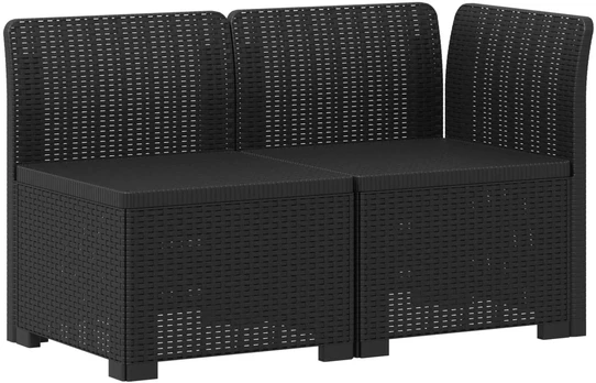 2-Vietis Sodo Sofas, Atrodo kaip Ratano PP Antracito