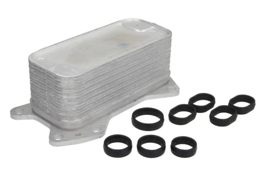 Alyvos radiatorius THERMOTEC D4Y002TT