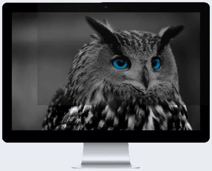 Privatumo filtras (Privacy filter) Natec Owl 24" 16:9, 24 "