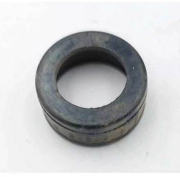 Dedra Guminis guolio dangtis