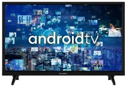 Televizorius GoGEN TVH24A336 kaina