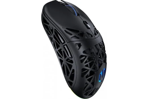 Pelė ENDORFY LIV Wireless
