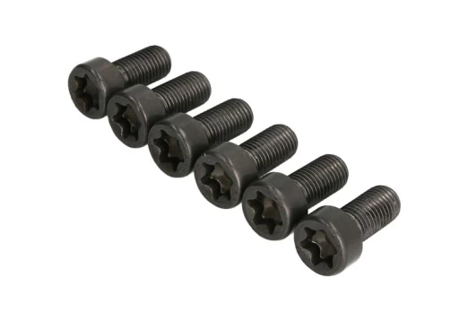 LUK 411 0256 10 Flywheel bolt set