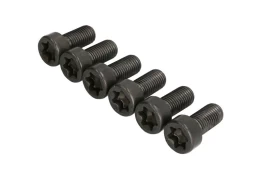 LUK 411 0256 10 Flywheel bolt set kaina