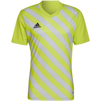 Adidas marškinėliai
