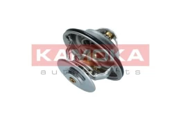Termostatas, aušinimo skystis KAMOKA 7710048 kaina
