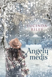 KNYGA Angelų medis kaina